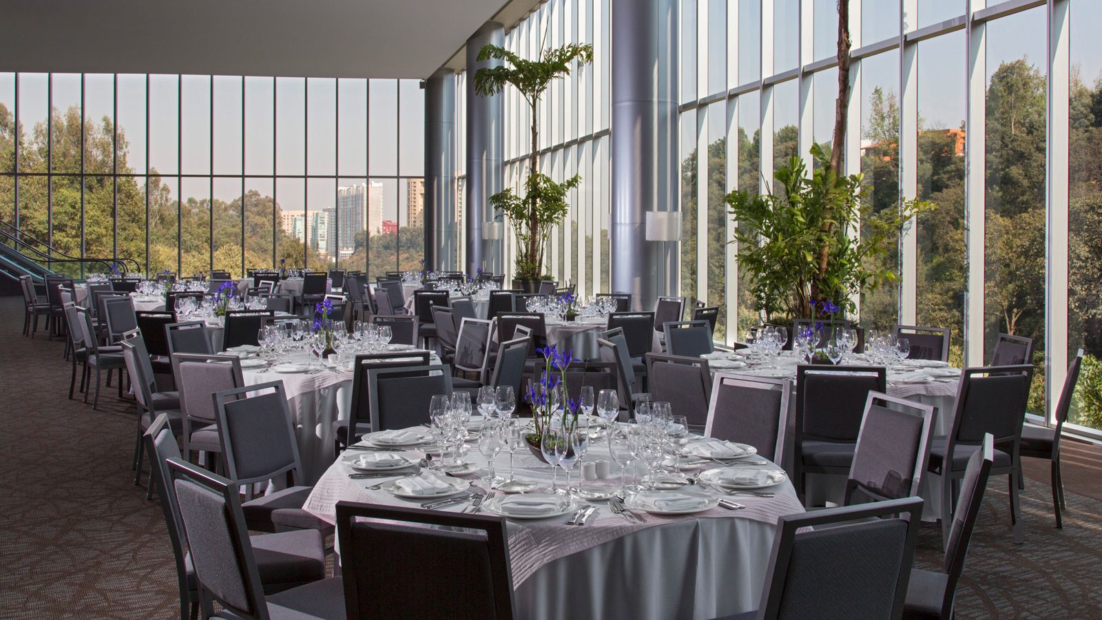 Weddings at the westin santa fe, mexico city